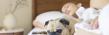 Five reasons you NEED a mattress protector